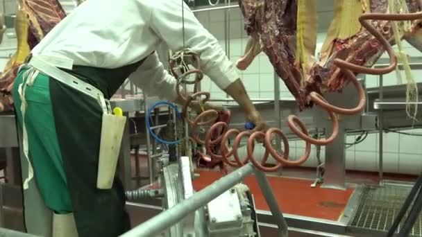 Employee Cleaning Horse Meat Hung Slaughterhouse Knife — Vídeo de Stock