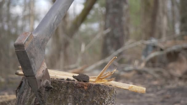 Dirty Stuck Wood Chopping Slow Motion Handheld — Stock video