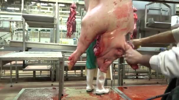 Butcher Cutting Pig Ears Head Slaughterhouse — 图库视频影像