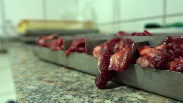 Collection Meat Samples Slaughterhouse Laboratory Meat Industry — Vídeo de Stock