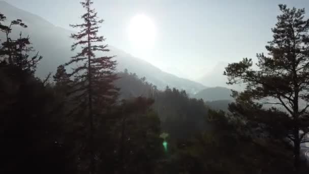 Trees Foggy Sun Snow Covered Bernese Alps Drone View — стоковое видео