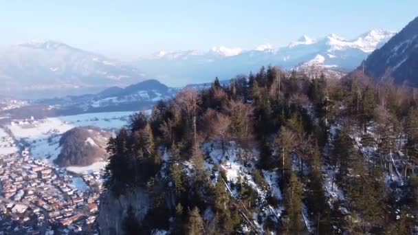 Drone Circle Small Steep Mountain Lots Fir Trees Called Burgfluh — Vídeo de Stock