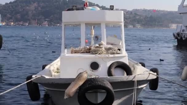 Рибний Човен Пришвартований Плаває Воді Морськими Птахами Задньому Плані Денний — стокове відео
