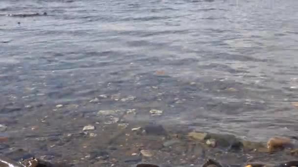 Paisaje Tranquilo Marea Baja Pequeñas Rocas Dispersas Con Olas Poco — Vídeos de Stock