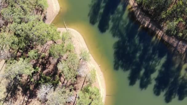 Lake Allatoona Georgia Shoreline Coast Blue Water Forest Aerial Drone — 비디오