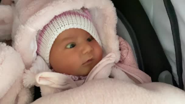 Cute Newborn Baby Girl Wrapped Pink Blankets Her Carrier Close — Vídeo de stock