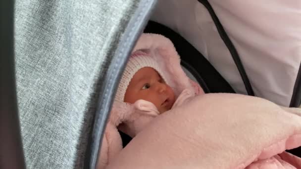 Adorable Little Newborn Baby Girl Wrapped Pink Quiet Her Carrier — Vídeo de Stock