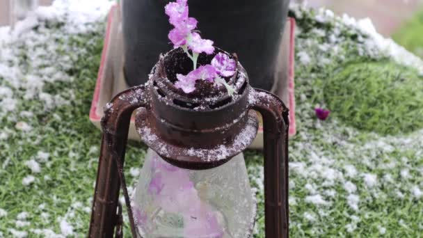 Vintage Metal Oil Lamp Frosted Purple Flowers Static Shot — Wideo stockowe