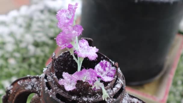 Close Flores Artificiais Uma Antiga Lâmpada Óleo Enferrujado Sob Neve — Vídeo de Stock