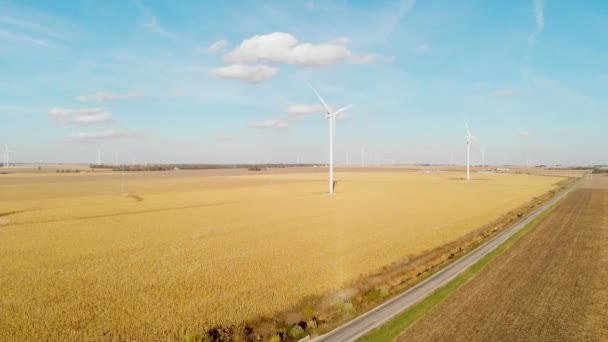 Wind Power Energy Production Northern Illinois Countryside Usa — Video Stock