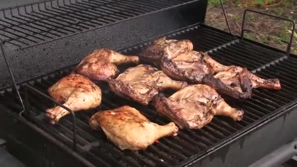 Schlechtes Gewissen Beim Verzehr Von Tierfleischbeinen Auf Dem Grill — Stockvideo