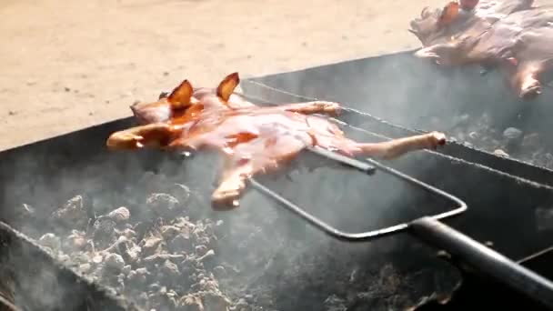 Cozinhar Porco Assado Corpo Inteiro Cozido Com Grelha Carvão — Vídeo de Stock