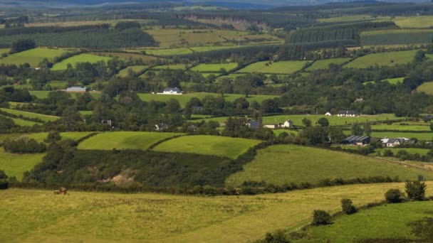 Time Lapse Rural Agriculture Landscape Sunny Summer Day Tractor Running — Wideo stockowe