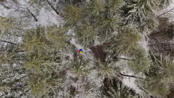 Filmhelix Aufnahme Eines Regenbogenschirms Inmitten Eines Schneebedeckten Waldes Winter — Stockvideo