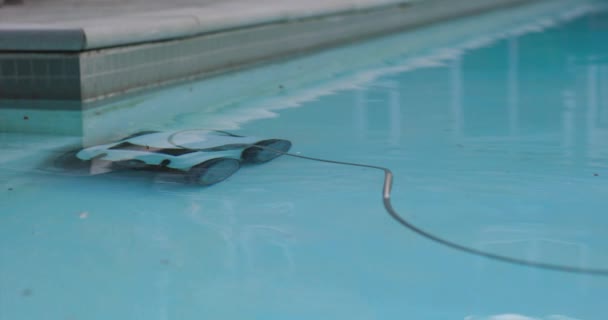 Elektrische Pool Cleaning Robot Reinigt Langs Kant Van Het Zwembad — Stockvideo