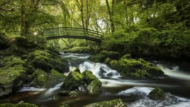 Time Lapse Spring Forest Park Waterfall Surrounded Trees Rocks Walking — ストック動画