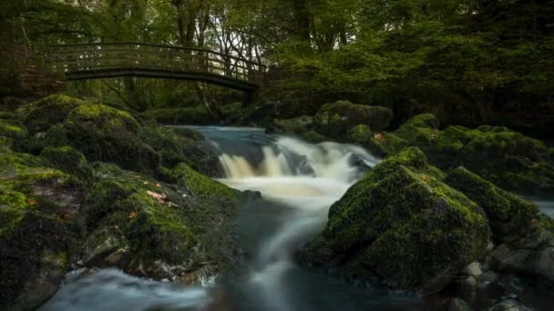 Time Lapse Dark Spring Forest Park Waterfall Surrounded Trees Rocks — 图库视频影像