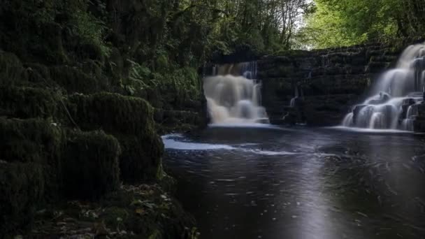 아일랜드의 풍경에 바위로 둘러싸인 나무들로 둘러싸인 어두운 이지남에 떨어지다 — 비디오