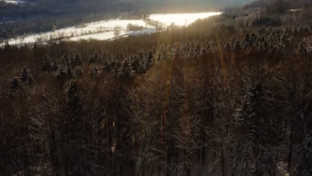 Sunshine Winter Landscape Drone View Smooth Flight Forest View Monastery — Stock video