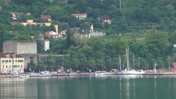 Sea Coast Town Boat Marine Palm Trees Montenegro Adriatic Sea — Stockvideo