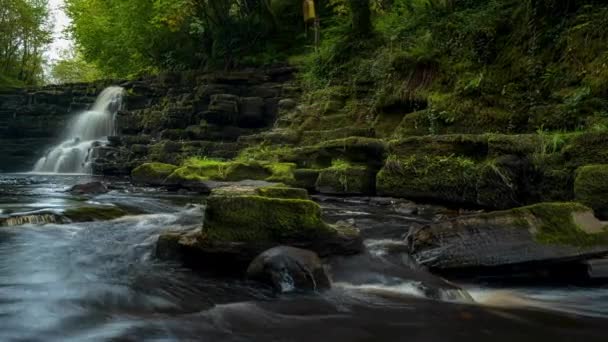 Panorama Time Lapse Spring Forest Cascade Waterfall Surrounded Trees Rocks — Stockvideo
