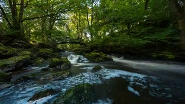 Panorama Time Lapse Spring Forest Park Waterfall Surrounded Trees Rocks — Stockvideo