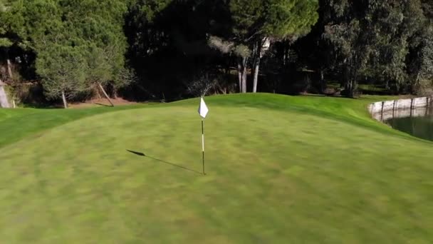 Flying Flag Pole Vivid Vibrant Golf Field — Video