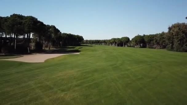 Schneller Flug Über Golfplatz Tiefflug Drohne — Stockvideo