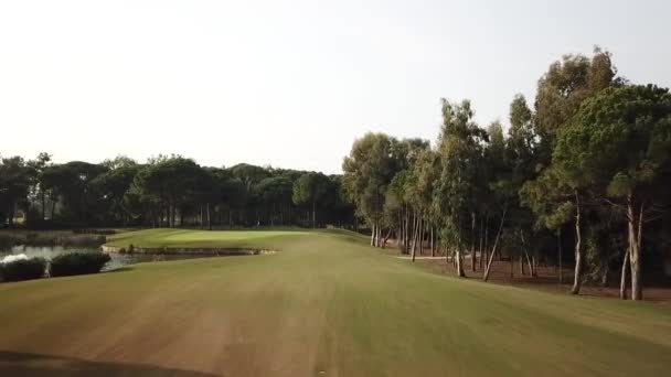 Flying Golf Field Revealing Beautiful Vivid Colors — Stockvideo