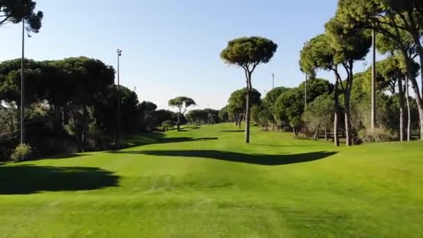 Green Vivid Vibrant Golf Course Field Gimbal Motion Shot — Video Stock
