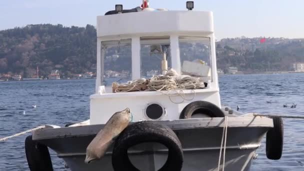 Vissersboot Bosporus Aangemeerd Pier Met Meeuwen Aalscholvers Zwemmen Het Water — Stockvideo