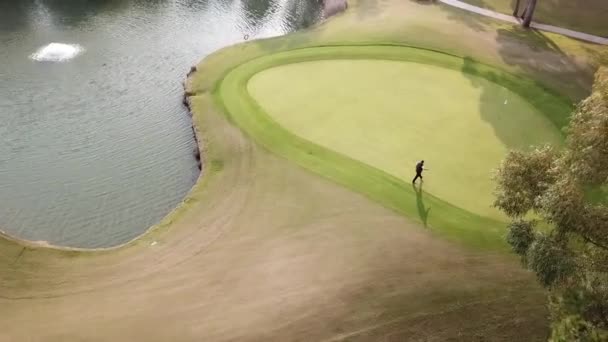 Jugador Golf Caminando Campo Golf Verde Vibrante Hacia Polo Del — Vídeo de stock