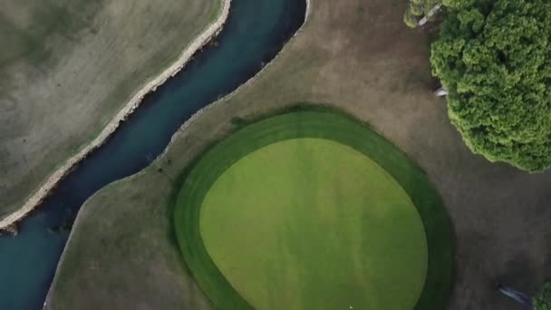 Top View Vibrant Green Golf Course Field Aerial Motion Shot — Stockvideo