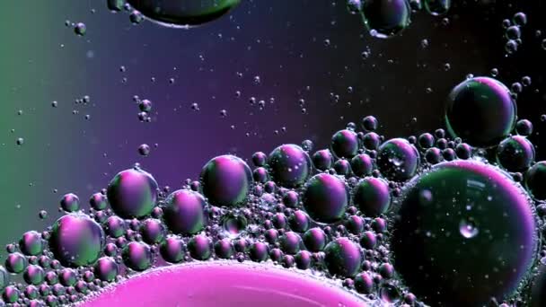 Смешивание Пузырь Воды Нефти Окрашенные Розовый Фиолетовый Зеленый Абстрактный Фон — стоковое видео
