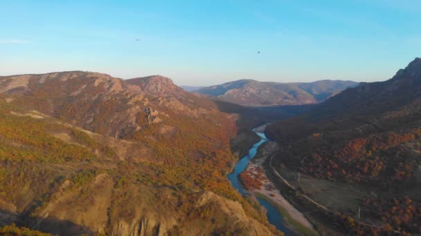 Filming Flying Eagles Distance Drone River Valley — ストック動画