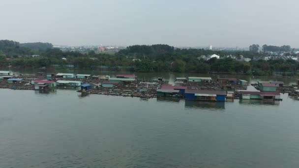 Flying Floating Fish Farming Community Bien Hoa Dong Nai River — Vídeo de Stock