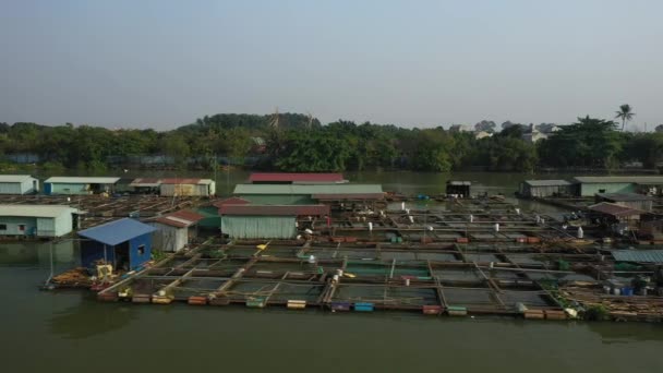 Floating Comunidade Piscicultura Bien Hoa Rio Dong Nai Vietnã Dia — Vídeo de Stock