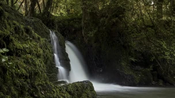 Time Lapse Forest Waterfall Rural Landscape Autumn Ireland — ストック動画