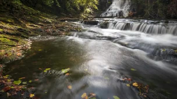 Time Lapse Forest Waterfall Rural Landscape Autumn Ireland — Vídeo de stock