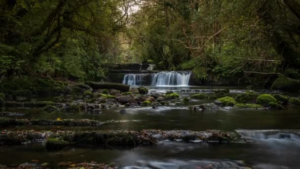 Lapso Tempo Cachoeira Florestal Paisagem Rural Durante Outono Irlanda — Vídeo de Stock