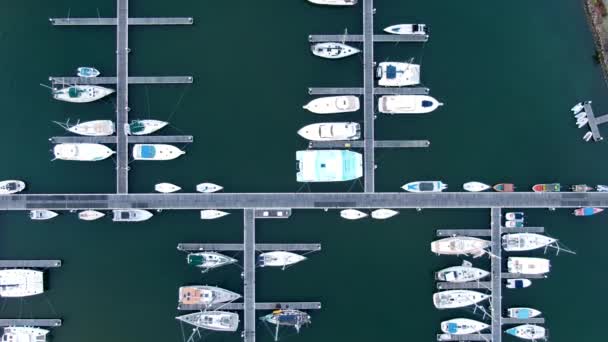 Birds Eye View Igy Marina Located Rodney Bay Saint Lucia — Stock videók