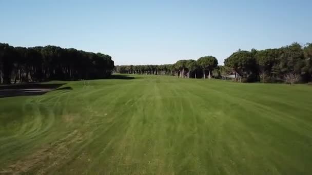 Quick Flying Green Vivid Golf Course Field Turkey — 图库视频影像