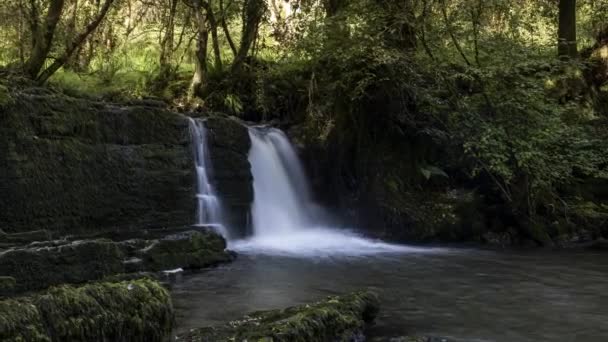 Time Lapse Forest Waterfall Rural Landscape Autumn Ireland — Stockvideo