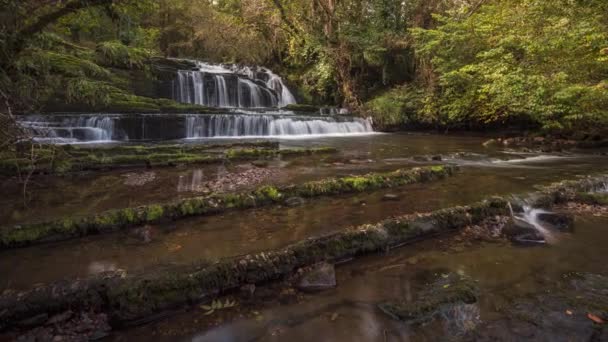Time Lapse Forest Waterfall Rural Landscape Autumn Ireland — ストック動画