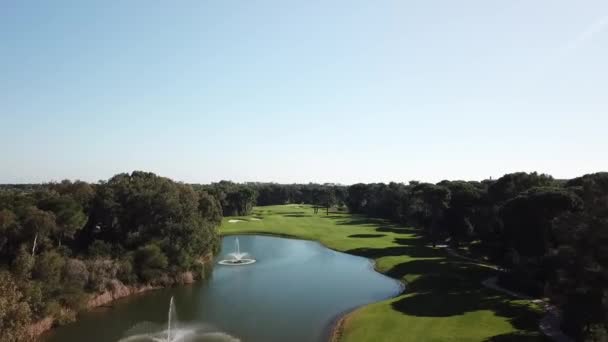 Flying Tree Tops Reveal Spectacular Vivid Golf Course Field — Stockvideo