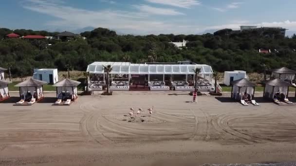 Розкішний Пляжний Бар Сонячні Ліжка Піщаному Пляжі Туреччині Курорт — стокове відео