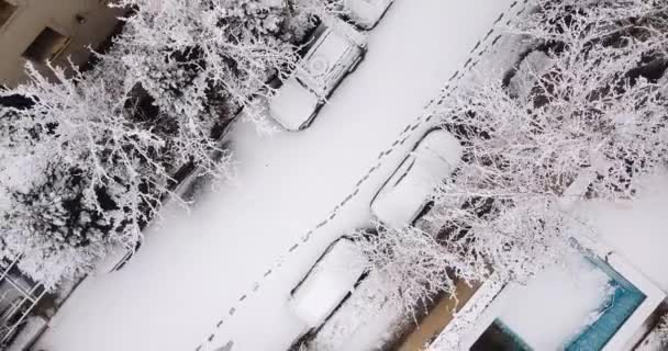 Tehran Iran Satellite Birdseye Buildings View City Centre Cold Morning — Stockvideo