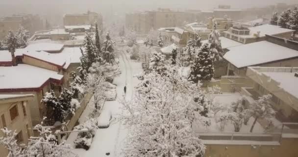 Снігопад Тегерані Центрі Міста Падає Сильний Сніг Місто Повне Прекрасних — стокове відео