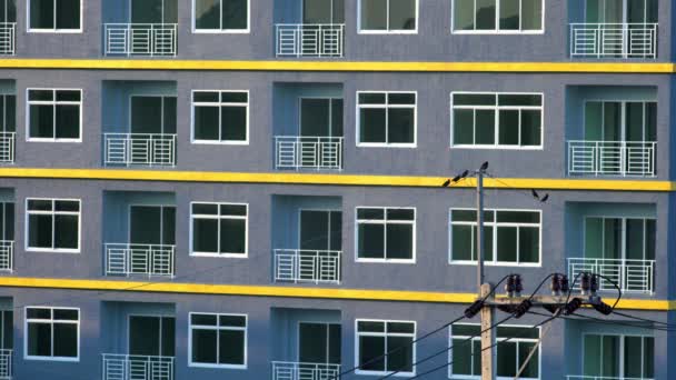 Vogels Zitten Elektrische Kabel Voor Gebouw Buiten Vliegen Weg — Stockvideo