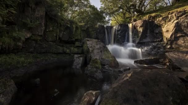 Časová Prodleva Místního Vodopádu Venkovské Lesní Krajině Irska Letní Slunečný — Stock video